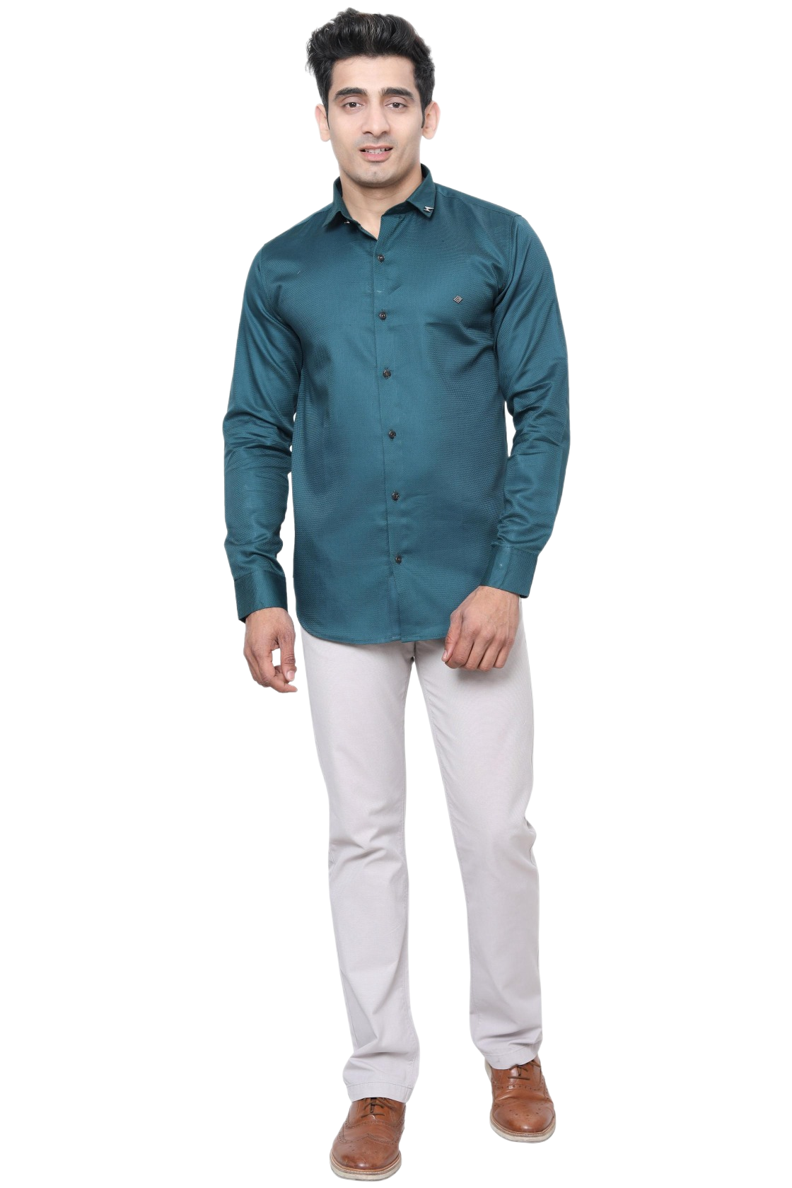 Plain Shirts {#S011}