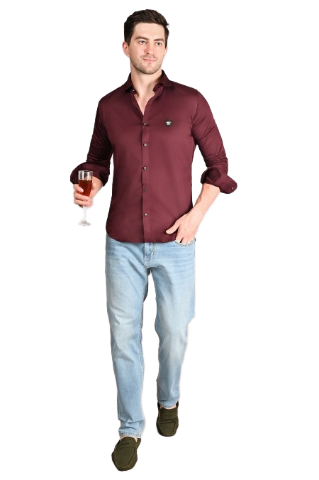 Plain Shirts {#S0015}