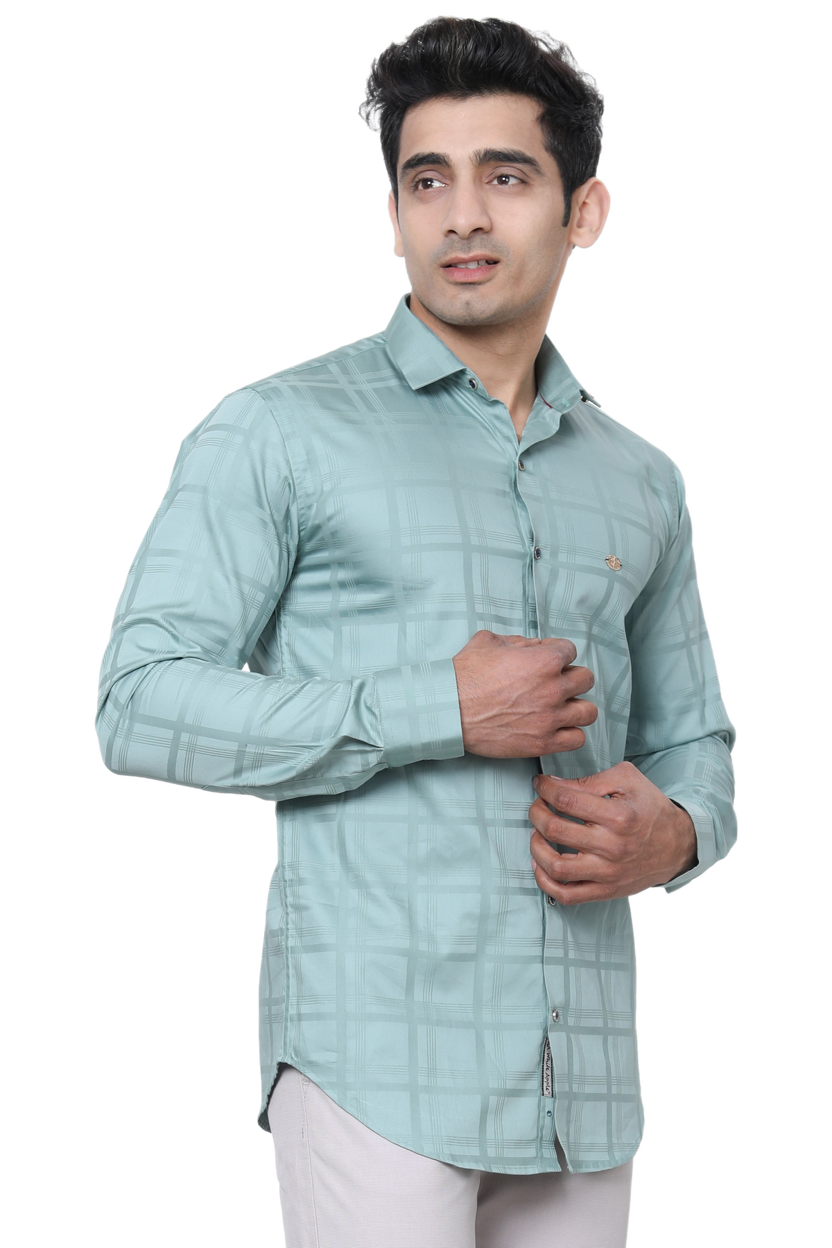 Regular Check Shirts {#S02}