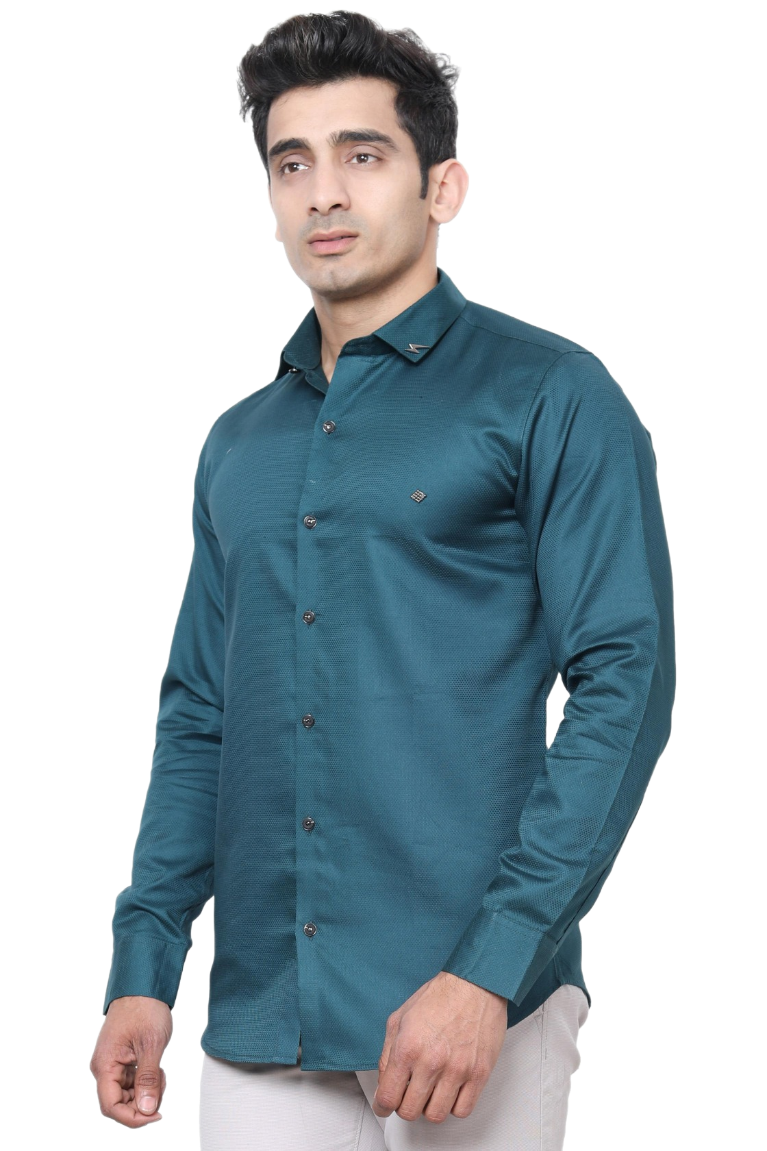 Plain Shirts {#S011}