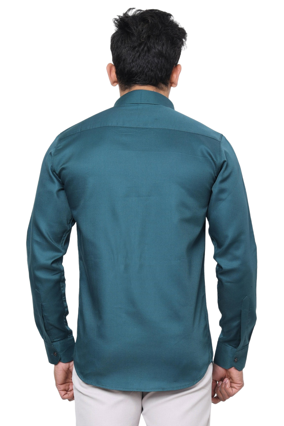 Plain Shirts {#S011}