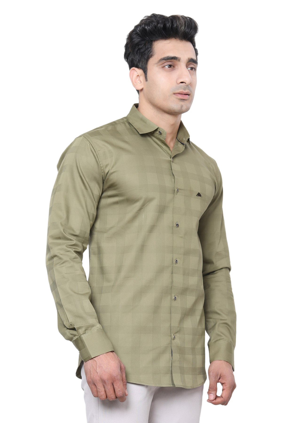 Regular Check Shirts {#S02}