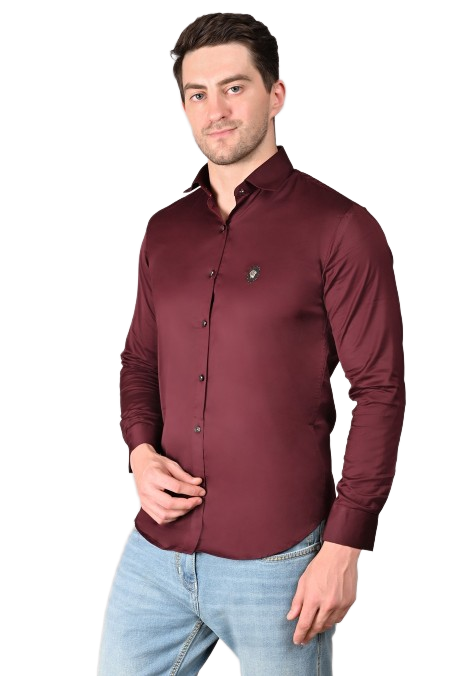 Plain Shirts {#S0015}