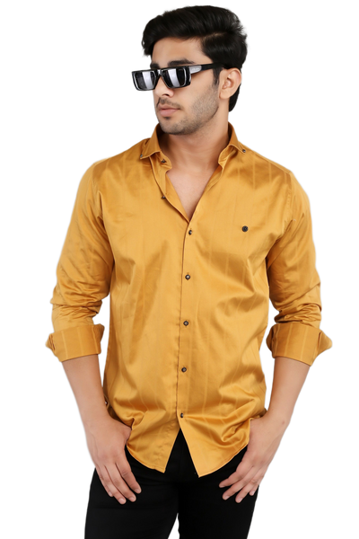 Men Plain Shirts {#S030}