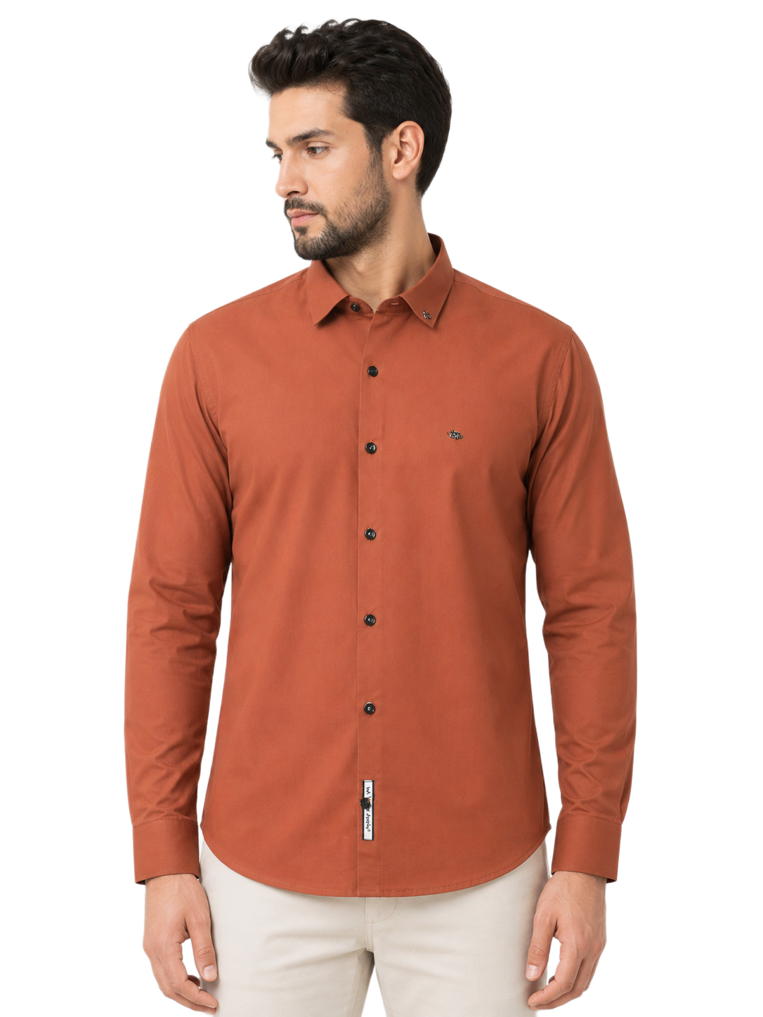 Cotton Plain Men Shirts